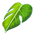 Monstera Leaf Cape