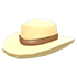 Ten Gallon Hat