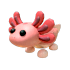 Axolotl