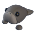 Dugong