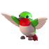 Hummingbird