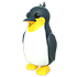 King Penguin