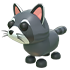 Raccoon