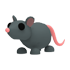 Rat