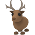 Reindeer