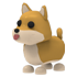 Shiba Inu