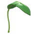Banana Leaf Balloon