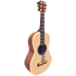 Camper's Guitar