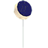 Eclipse Balloon
