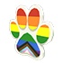 Pride Paw Flying Disc