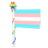 Transgender Flag 2023